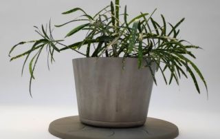 Změněná velikost Otočené IMG_20200813_101058 1